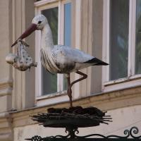 Полина