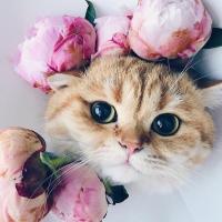 Катерина 