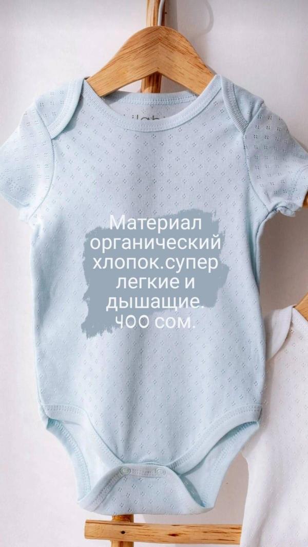 post image 5