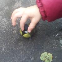 Илона Комикова