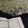 ansariiyyah