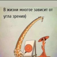 Жираф