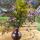 yulya_555_91