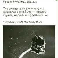 сафия