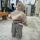 masha13011