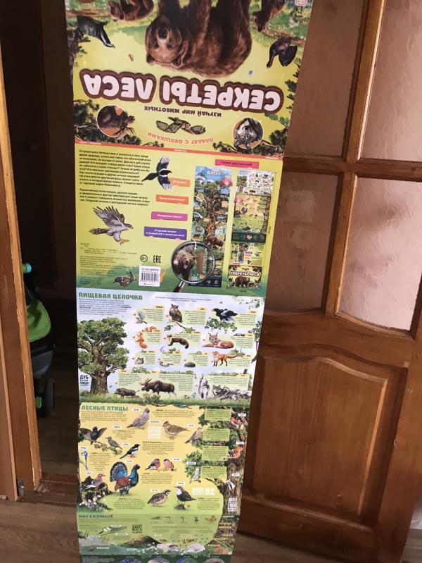 post image 5