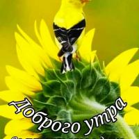 Лёля