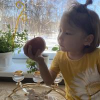 Alena