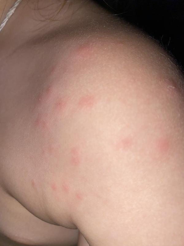 post image 4