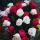 psy_num_astana_kz