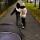 pim_pi_lim