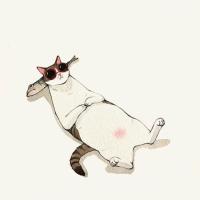 🐈‍⬛