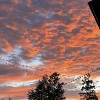 🧟🧌🧟‍♂️