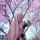 nur__a807