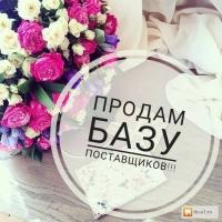 Анна Трошина