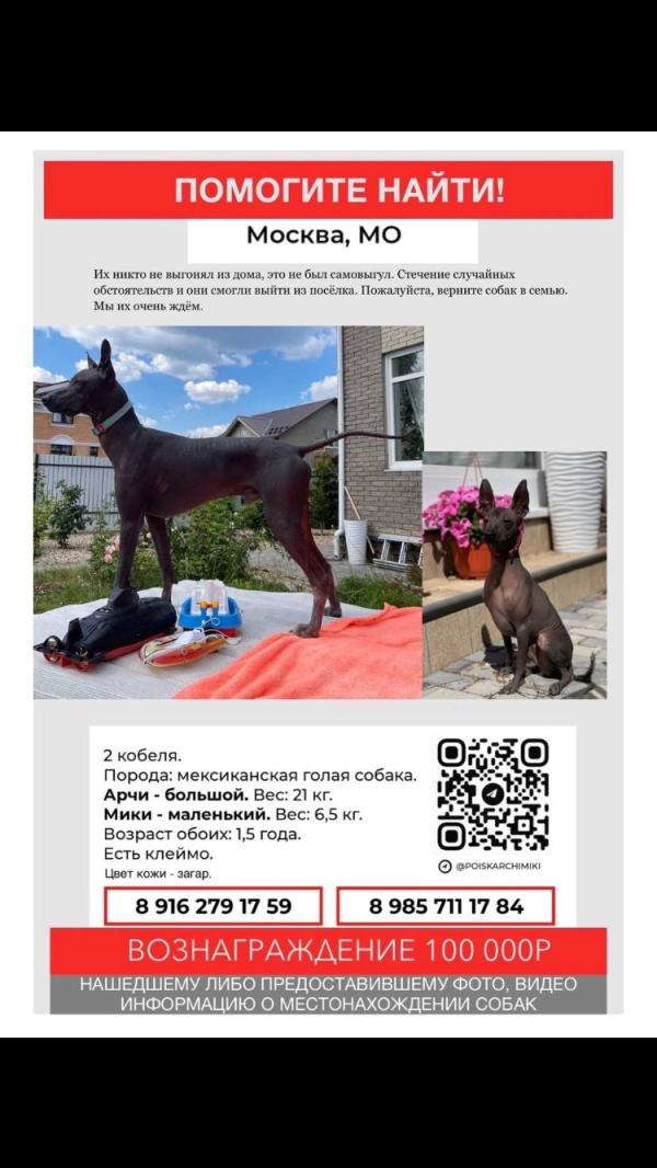 post image