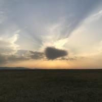 Айшат