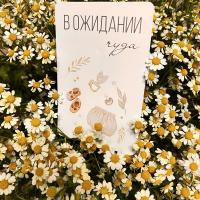 Алсу