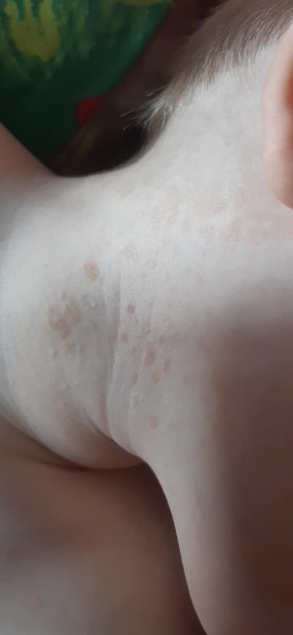 post image 5