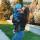 lucevich.alyona.s