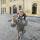alenka_chu