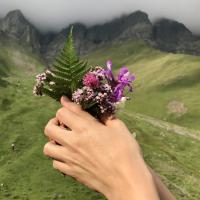 Амина