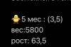 стикер