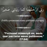 Moldir 