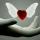 cherry_diz