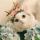 darya_sergeeevna