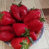 Мария