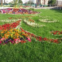 Звёздочка Джапбарова 