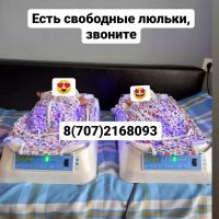 Ляззат