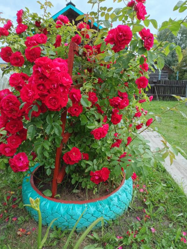 post image 5