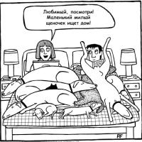 alinaboqova