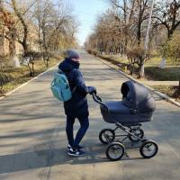 Кот Матай