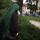 hanifa_h