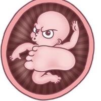 Bhffynnk