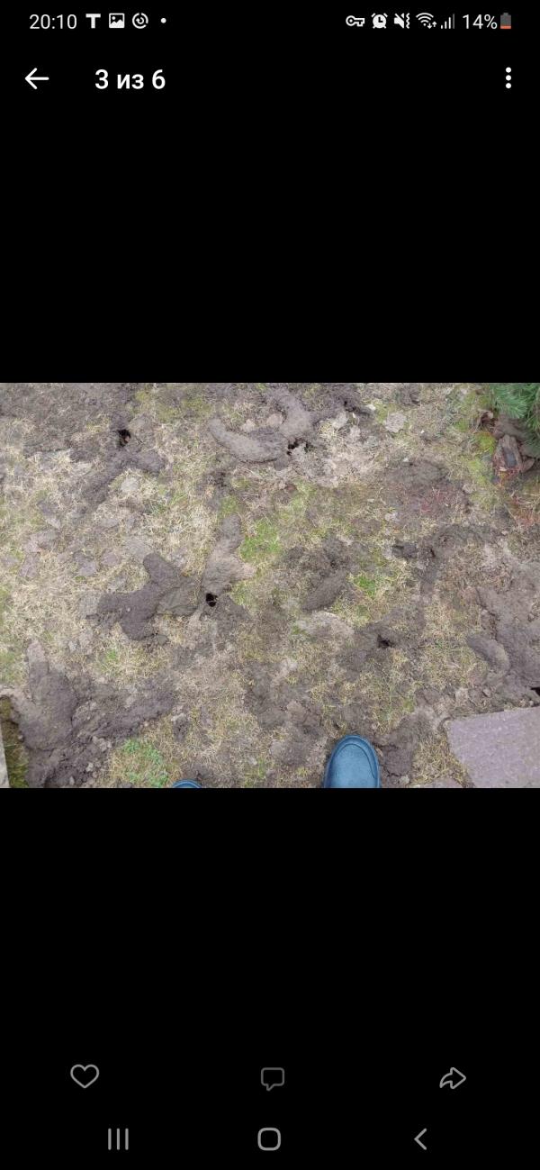 post image 4