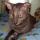 anj07051982