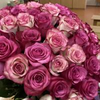 Lamanan_hoza