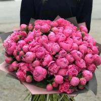 baizhanova88b@mail.ru