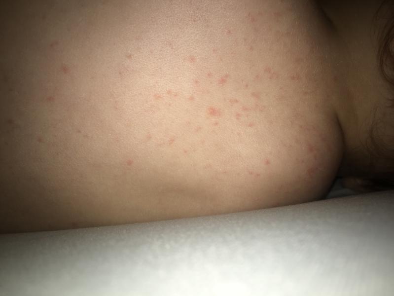 post image 4