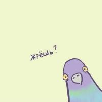 Катя 