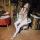 ksenia.lenina2004