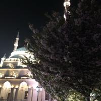 Fatima