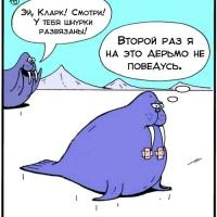 Анчоус
