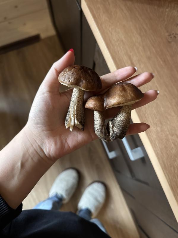 post image 5