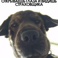 Ольга
