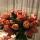 lily_narkes